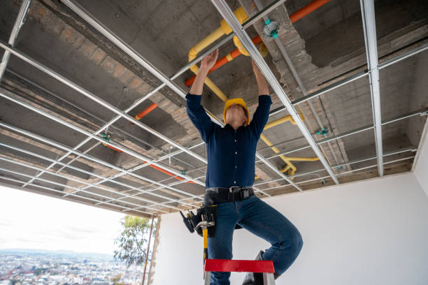Best Plumbing Inspection Services  in Stromsburg, NE